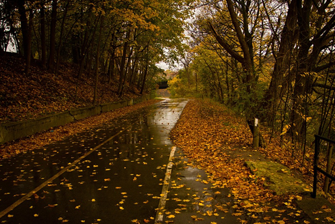 La conducción en otoño